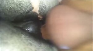 legitimately,bestiality-stories