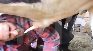animal-fuck,animal-porn