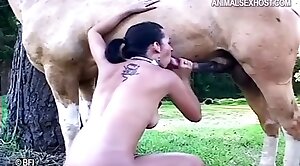 horse-sex,animal-porn