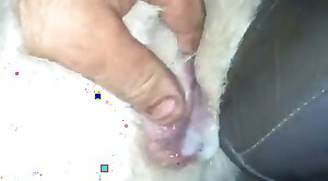 intercourse,wild