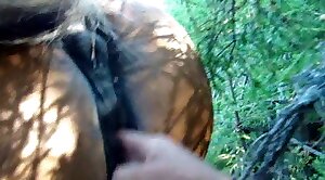 fisting,animal-fuck