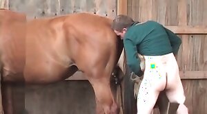 animals-video,sex-movie