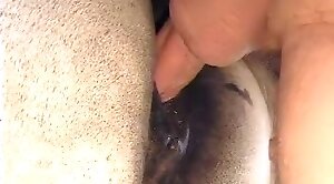 nastiest,animals-video