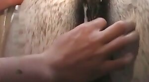 vid,beastiality