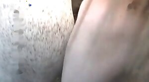 vid,beastiality