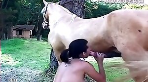 animal-fuck,horse-sex