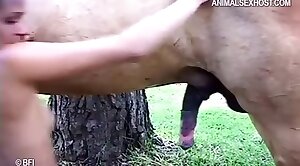 animal-fuck,horse-sex
