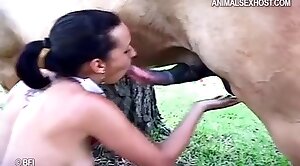 animal-fuck,horse-sex