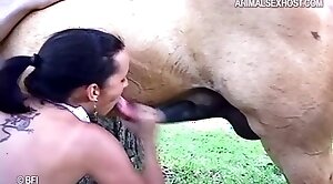 animal-fuck,horse-sex