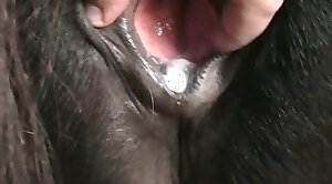 pussy,porno-scene