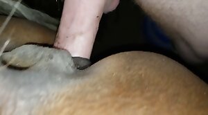 humping,non-stop