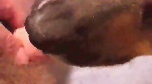 dude-porn,sex-movie