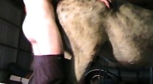 cums,beast