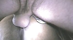 fucker,zoo-hd