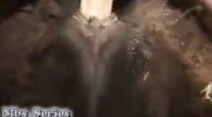 sex-movie,animal-porn