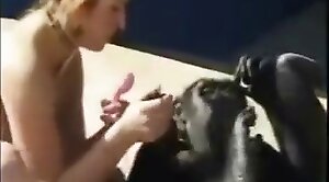monkey,dealing