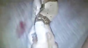 animal-porn,kinda