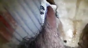 animal-porn,kinda
