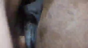 beastiality,porno-scene