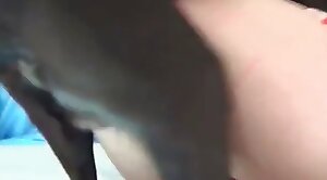 animal-fuck,oral