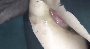 animal-porn,pussy