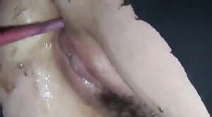 animal-porn,pussy