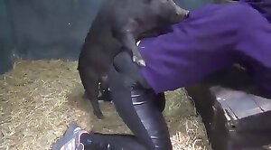 animal-porn,pussy