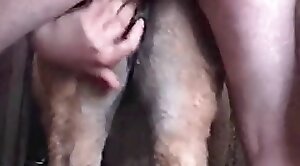 intense,animal-porn