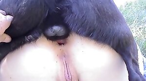free-zoo,sex-movie