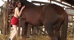 studying,animal-porn