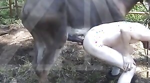 free-zoo,sex-movie