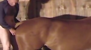 animal-porn,animals-video