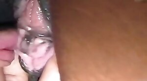 animal-porn,animals-video