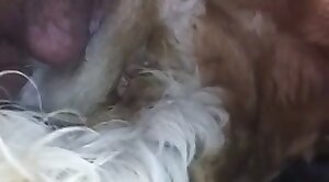 intense,intimacy