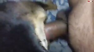animal-fuck,sex-movie