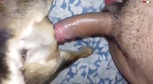animal-fuck,sex-movie