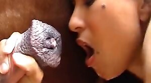 animal-porn,sex-movie