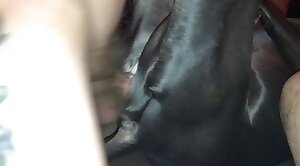 sex-movie,dog-xxx