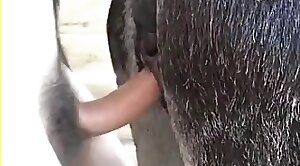 closeup,free-zoo