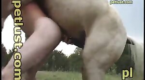 animal-porn,sex-movie