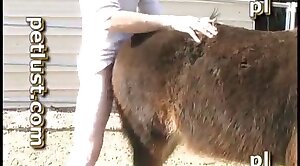 horse-sex,animal-fuck