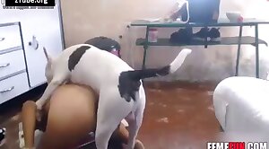 dog-xxx,sex-movie