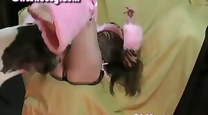 beastiality,