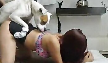 sexe avec un animal,bestialité sexe porno