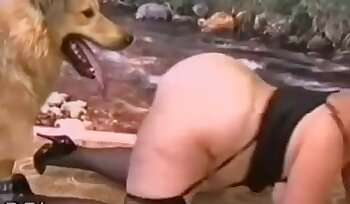 seks ze zwierzęciem,filmy porno z zoo