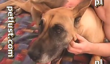 sexo com animal,sexo canino e humano