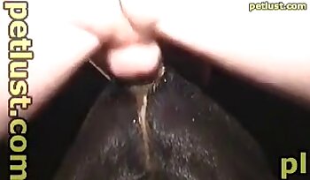 vídeos de sexo bestial gratis,porno de sexo bestial
