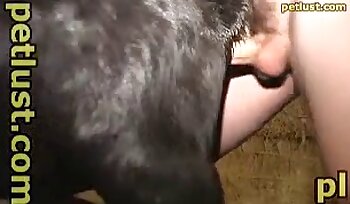 zoofília sex videá,porno so sodomiou