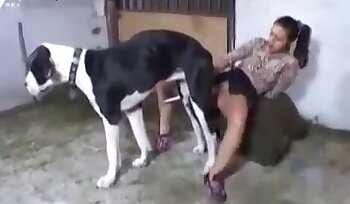 секс с животным,зоо порно видео
