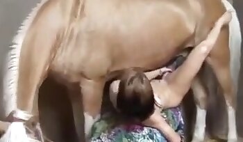 sex se zvířetem,porno videa ze zoo